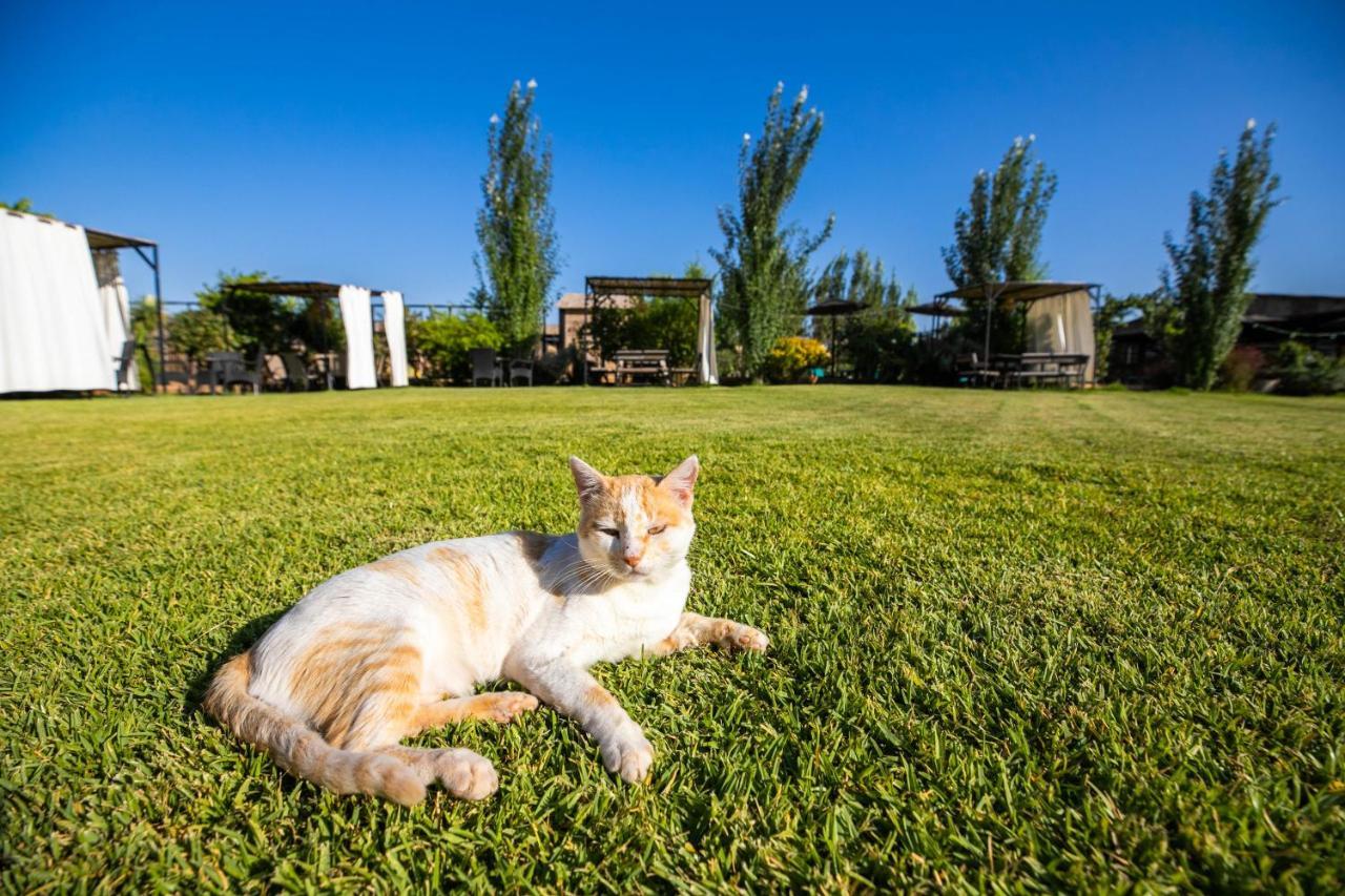 Bio Et Bois Otel Fès Dış mekan fotoğraf